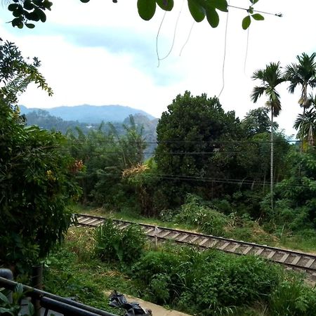 Charming View Homestay Ella Buitenkant foto