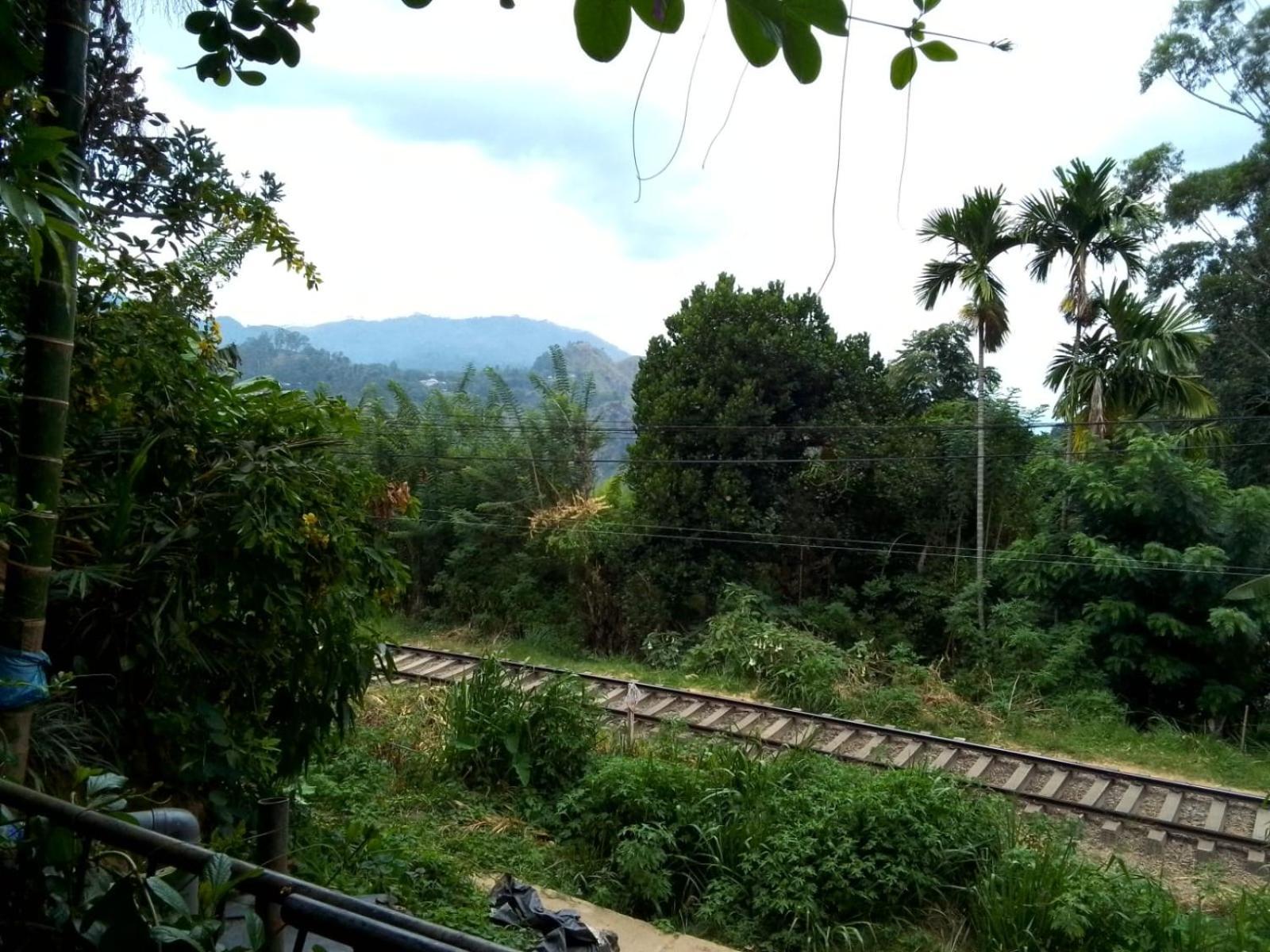 Charming View Homestay Ella Buitenkant foto