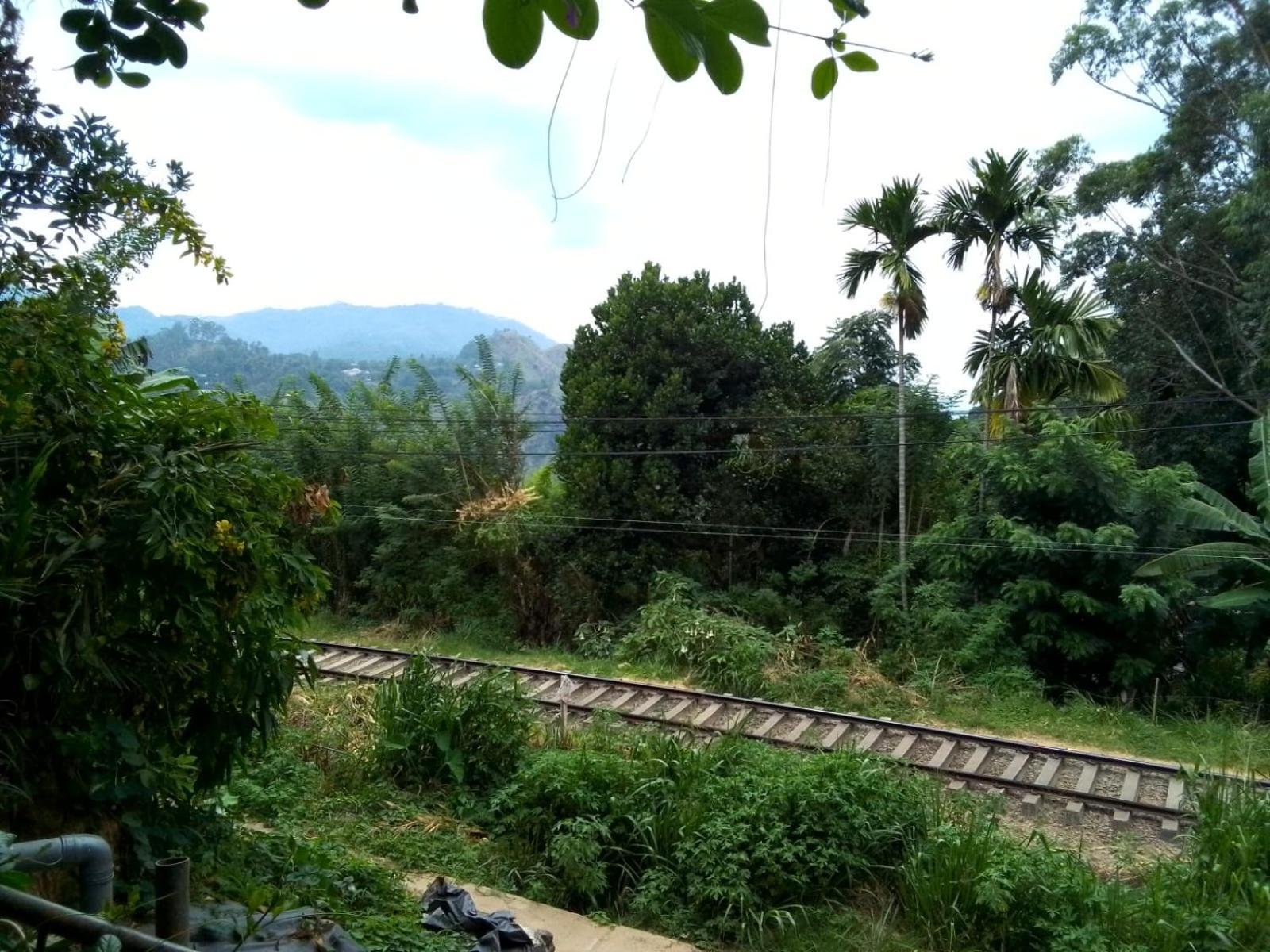 Charming View Homestay Ella Buitenkant foto